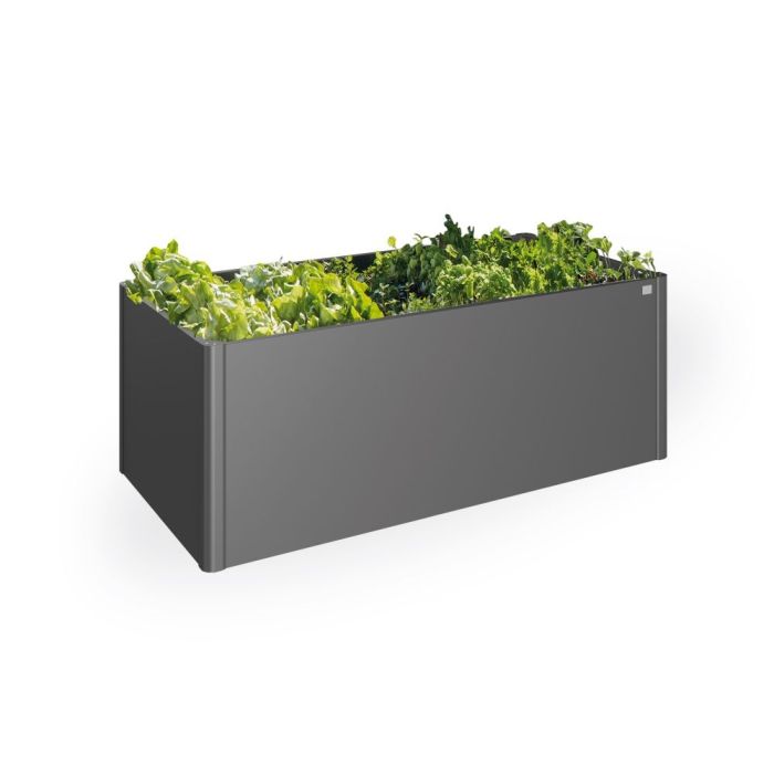 Héichbeet 2 x 1 m donkelgréng-metallescheg